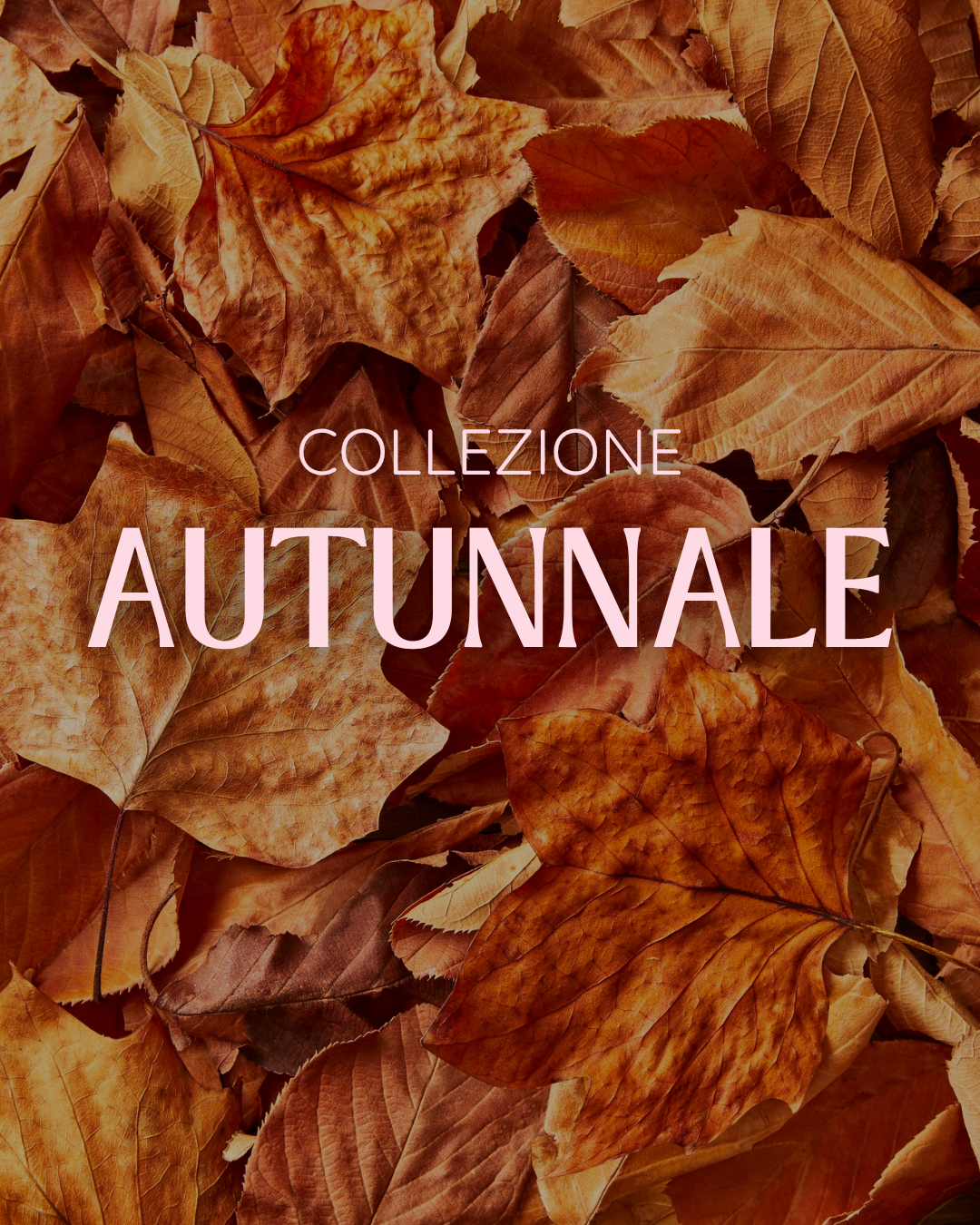 COLLEZIONE AUTUNNALE